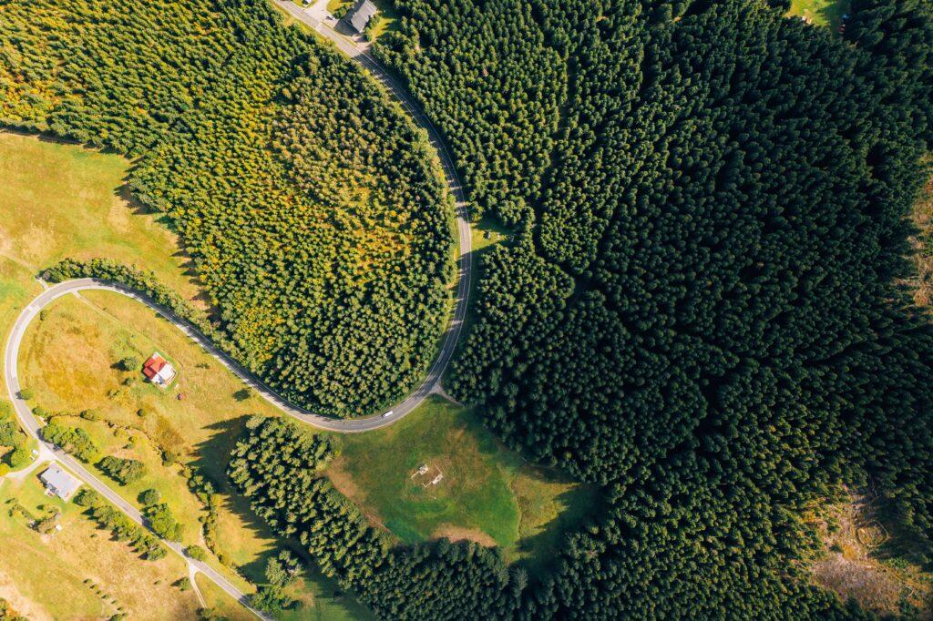 Vue aérienne d'une forêt en Europe centrale, traversée par une route.